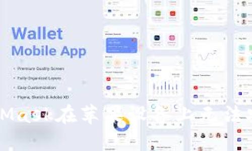 解决MetaMask在苹果设备上无法安装的问题