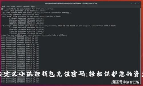 如何自定义小狐狸钱包充值密码：轻松保护您的资产安全