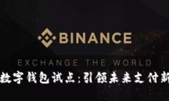 浙江数字钱包试点：引领