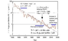   MetaMask钱包安全性全面分