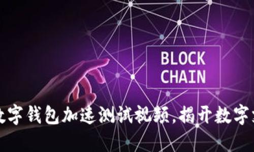 快速上手：数字钱包加速测试视频，揭开数字支付的未来！