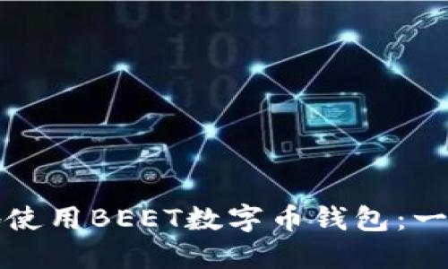如何安全地使用BEET数字币钱包：一份详细指南