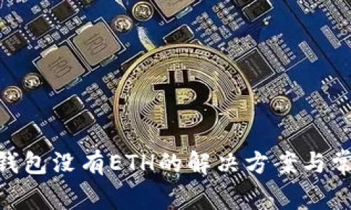 MetaMask钱包没有ETH的解决方案与常见问题解析