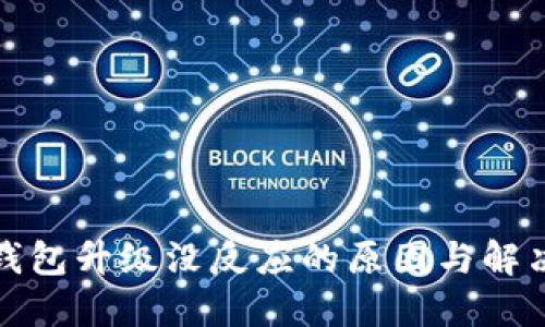 数字钱包升级没反应的原因与解决方法