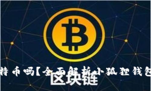 小狐狸钱包支持比特币吗？全面解析小狐狸钱包的功能与使用指南