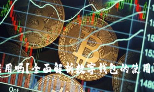 数字钱包没钱能用吗？全面解析数字钱包的使用限制与注意事项