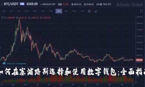 如何在塞浦路斯选择和使用数字钱包：全面指南