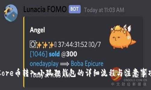 Core币转入小狐狸钱包的详细流程与注意事项