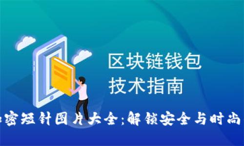 钱包加密短针图片大全：解锁安全与时尚的结合