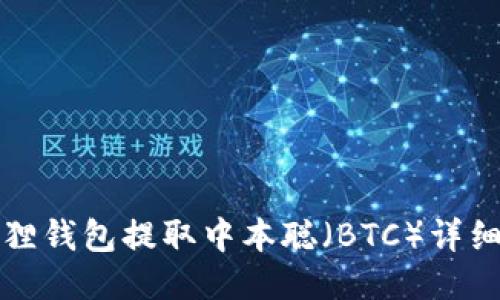 小狐狸钱包提取中本聪（BTC）详细教程