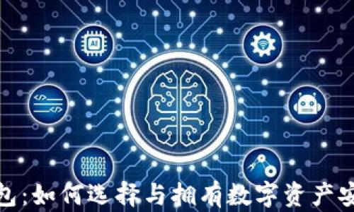 
数字货币钱包：如何选择与拥有数字资产安全储存方案