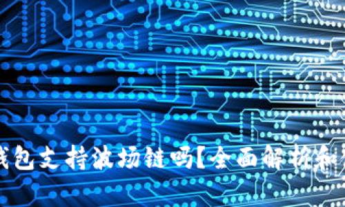 小狐狸钱包支持波场链吗？全面解析和使用指南