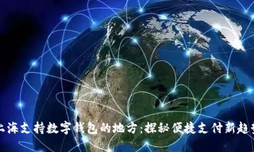 上海支持数字钱包的地方：探秘便捷支付新趋势