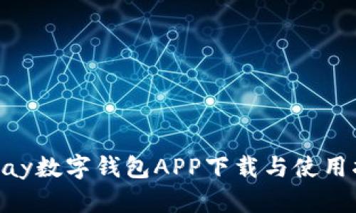 Gopay数字钱包APP下载与使用指南