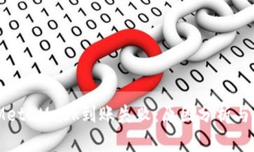 biao tiMetaMask到账失败：原因分析与解决方案